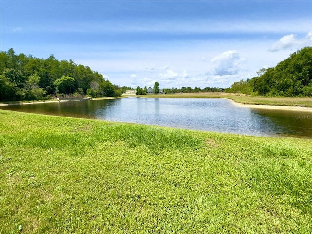 view of water feature
