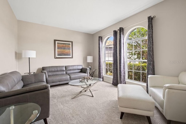 13044 Lakeshore Grove Dr, Winter Garden, FL 34787 - living room with carpet flooring