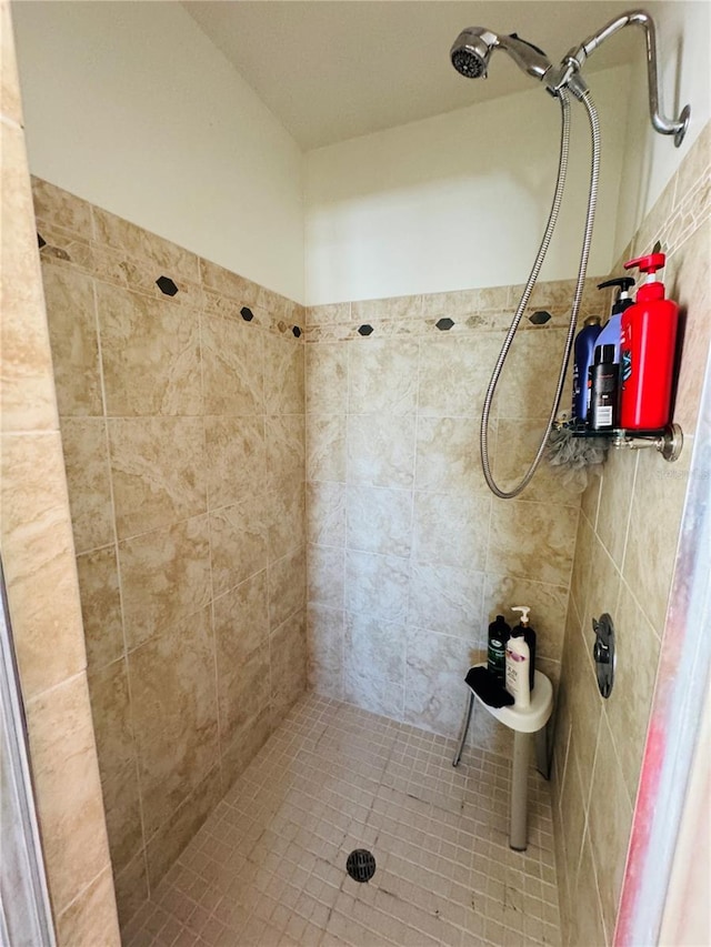 1419 Ave D NE, Winter Haven, FL 33881 - full bathroom with tiled shower