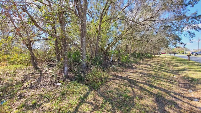 716 Martin Ln, Kissimmee, FL 34759 - photo 1