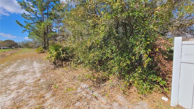 716 Martin Ln, Kissimmee, FL 34759 - photo 4