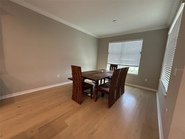 2920 Agostino Ter, Kissimmee, FL 34746 - photo 25