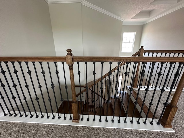 2920 Agostino Ter, Kissimmee, FL 34746 - photo 41