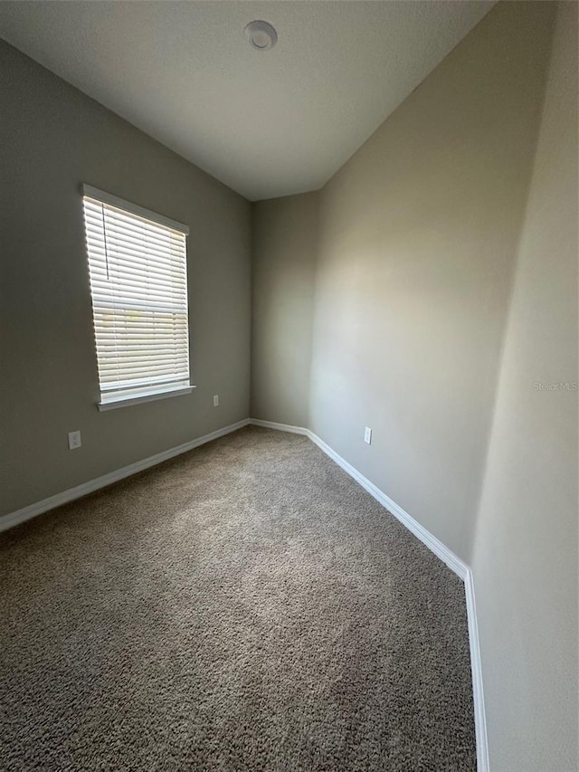 2920 Agostino Ter, Kissimmee, FL 34746 - photo 48