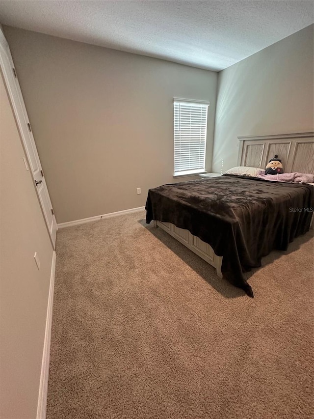 2920 Agostino Ter, Kissimmee, FL 34746 - photo 49