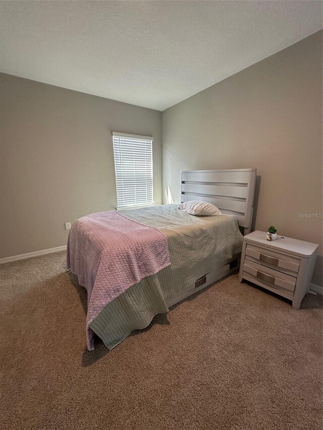 2920 Agostino Ter, Kissimmee, FL 34746 - photo 51