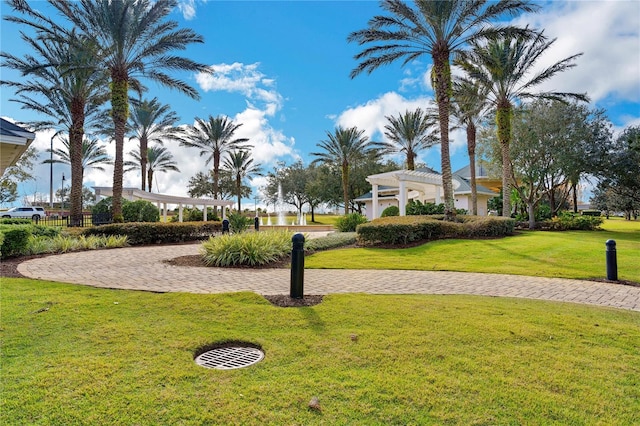 view of property's community with a yard