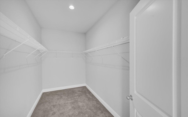 walk in closet with carpet