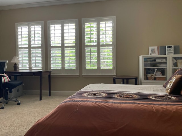 907 Pawstand Rd, Celebration, FL 34747 - carpeted bedroom with multiple windows, baseboards, and crown molding