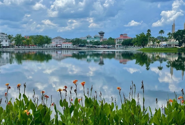 907 Pawstand Rd, Celebration, FL 34747 - water view with nearby suburban area