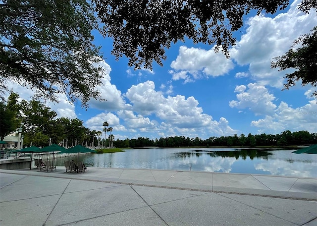 907 Pawstand Rd, Celebration, FL 34747 - water view