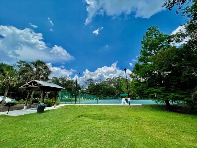 907 Pawstand Rd, Celebration, FL 34747 - photo 42