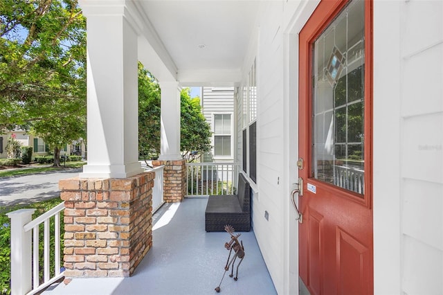 907 Pawstand Rd, Celebration, FL 34747 - photo 3