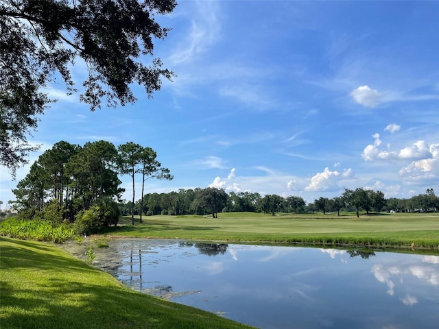 907 Pawstand Rd, Celebration, FL 34747 - photo 44