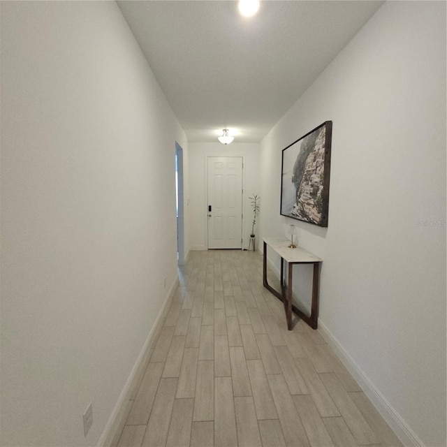 19235 Allium Pl, Orlando, FL 32827 - photo 4