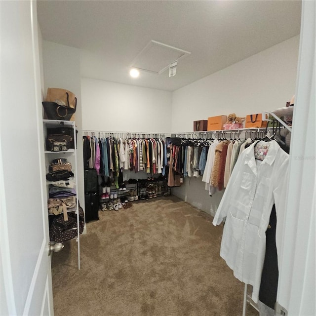 19235 Allium Pl, Orlando, FL 32827 - photo 23