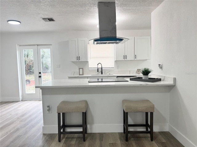 1098 Leeway Ct, Orlando, FL 32810 - kitchen featuring a sink, a textured ceiling, island exhaust hood, and visible vents