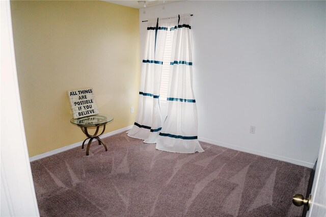 12236 Fairlawn Dr, Riverview, FL 33579 - photo 38