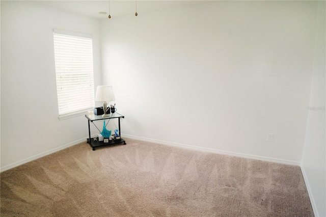12236 Fairlawn Dr, Riverview, FL 33579 - photo 44