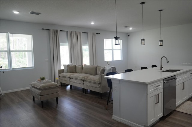 kitchen featuring a sink, stainless steel dishwasher, dark wood-style flooring, and a healthy amount of sunlight