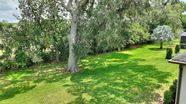 view of green lawn