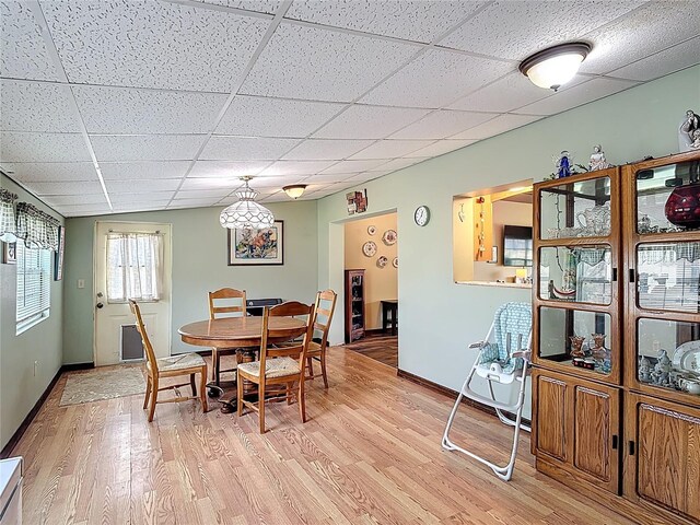 3110 Short Leaf Pine Ct, Kissimmee, FL 34746 - dining area featuring light wood-type flooring, a paneled ceiling, and baseboards