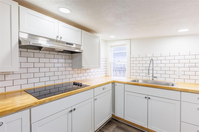 1007 11th St, Saint Cloud, FL 34769 - kitchen with wooden counters, a sink, black electric cooktop, under cabinet range hood, and tasteful backsplash