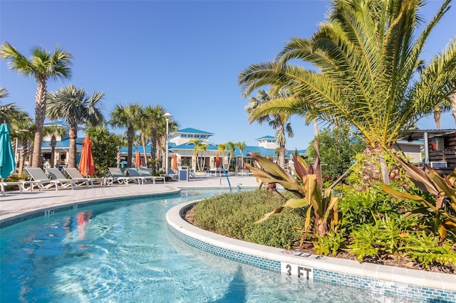 view of community pool