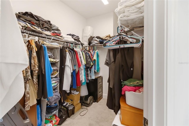 walk in closet featuring carpet floors