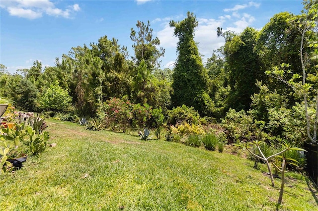 view of grassy yard