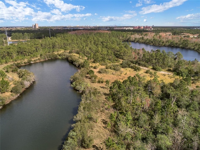 bird's eye view of a large body of water and a forest