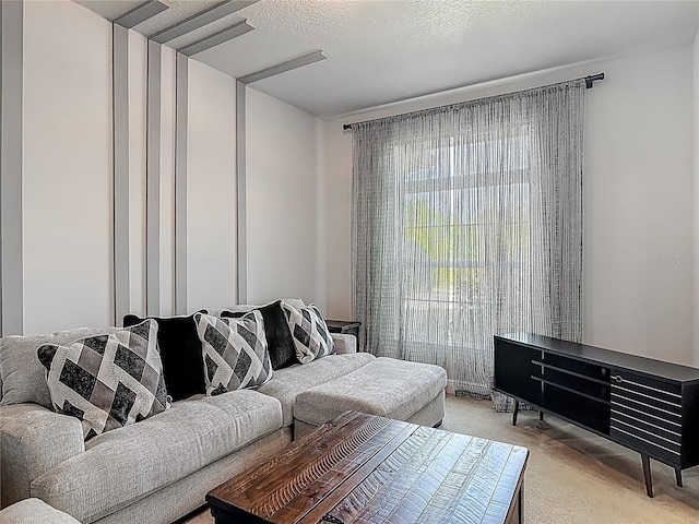 12313 Prairie Plantation Way, Orlando, FL 32824 - living area featuring light colored carpet