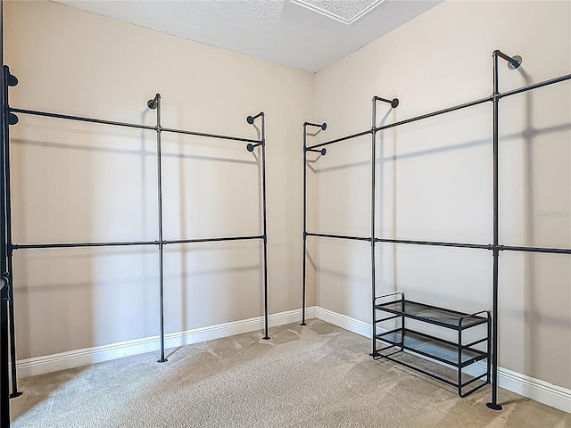 12313 Prairie Plantation Way, Orlando, FL 32824 - walk in closet with carpet flooring