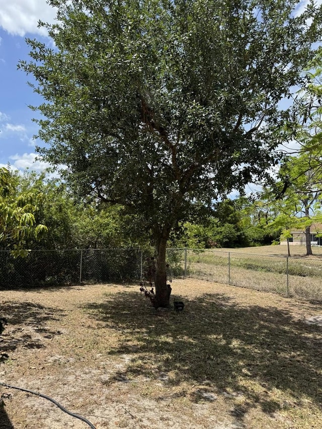 829 Anza Ave, Lehigh Acres, FL 33971 - view of yard featuring fence
