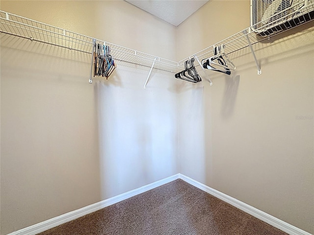 219 Rosso Dr, Davenport, FL 33837 - walk in closet with dark colored carpet