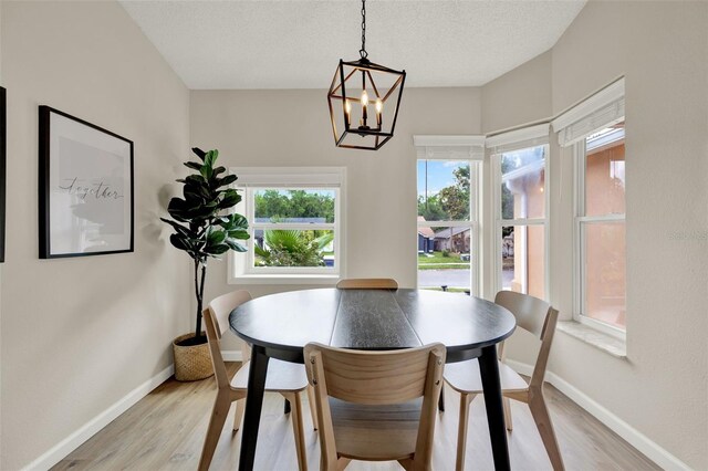 1050 Dees Dr, Oviedo, FL 32765 - dining area featuring light wood-type flooring, baseboards, healthy amount of natural light, and a textured ceiling