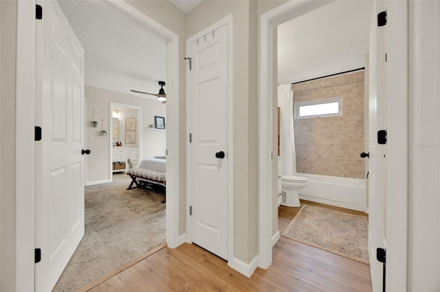 1050 Dees Dr, Oviedo, FL 32765 - corridor featuring light wood-style flooring and baseboards
