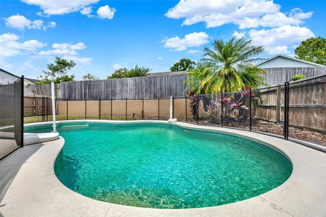 1050 Dees Dr, Oviedo, FL 32765 - view of pool featuring a fenced backyard