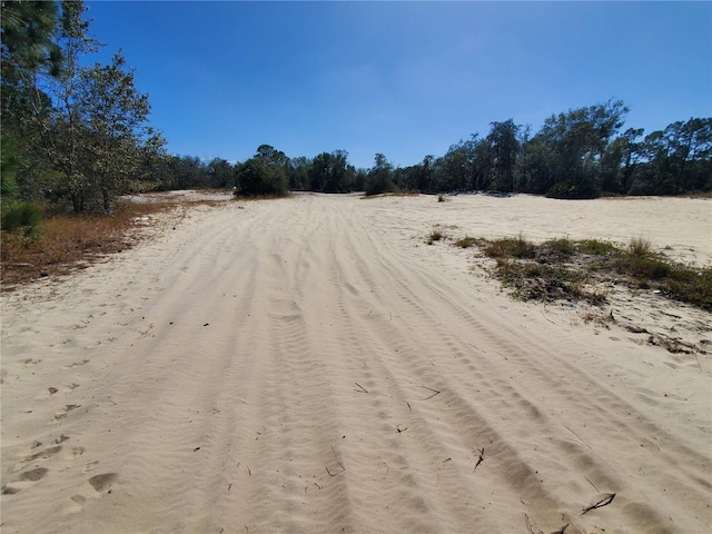 Trout Way, Kissimmee, FL 34759