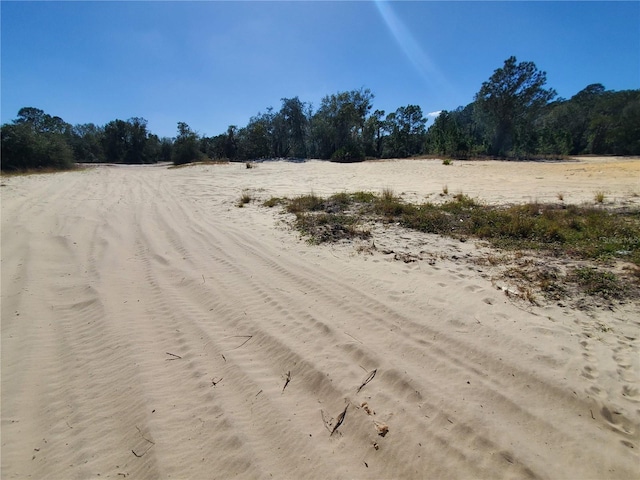 Trout Way, Kissimmee, FL 34759