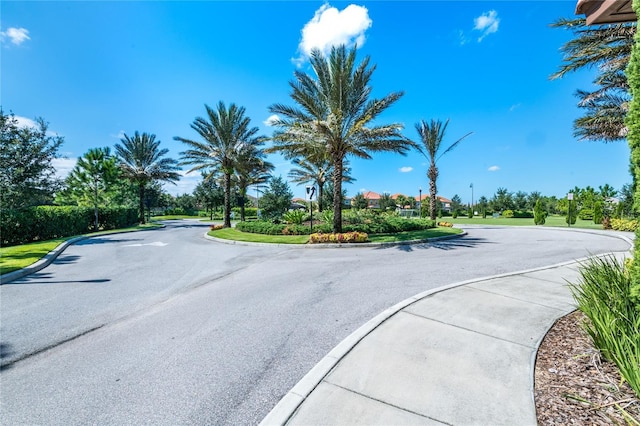 4416 Acorn Ct, Davenport, FL 33837 - view of asphalt road featuring curbs and street lighting