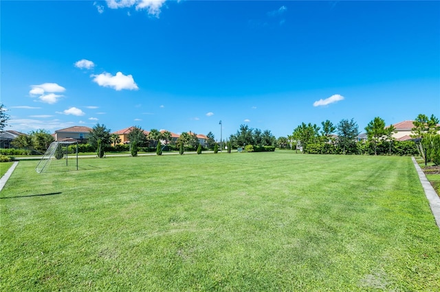4416 Acorn Ct, Davenport, FL 33837 - view of yard