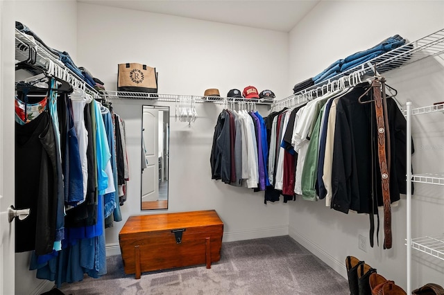 3428 Sagebrush St, Saint Cloud, FL 34773 - walk in closet with carpet