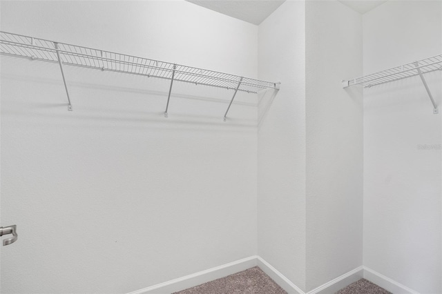 3138 Dark Sky Dr, Saint Cloud, FL 34773 - spacious closet with carpet floors