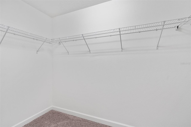 3138 Dark Sky Dr, Saint Cloud, FL 34773 - spacious closet featuring carpet