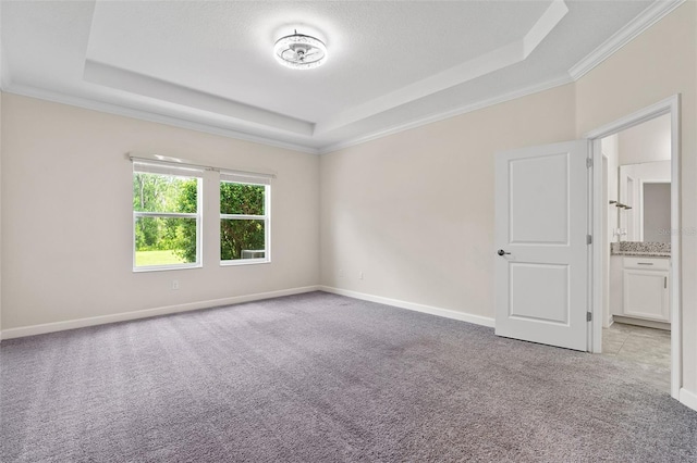 3138 Dark Sky Dr, Saint Cloud, FL 34773 - spare room featuring a raised ceiling, light colored carpet, crown molding, and baseboards