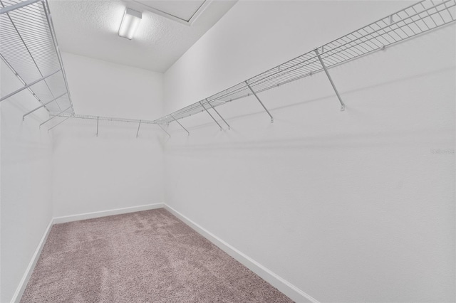 3138 Dark Sky Dr, Saint Cloud, FL 34773 - walk in closet with carpet