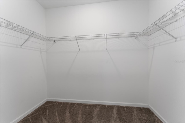 7728 Stone Creek Trl, Kissimmee, FL 34747 - spacious closet featuring carpet floors