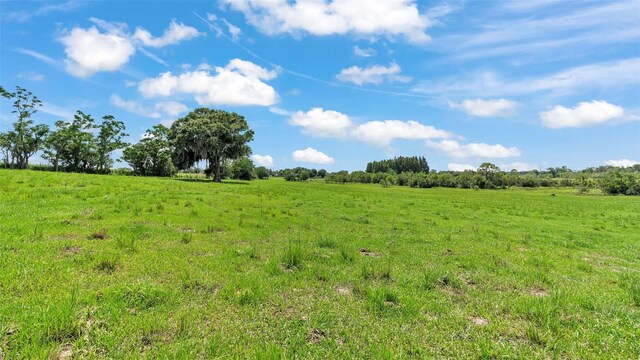 8450 Alturas Babson Park Cutoff Rd, Bartow, FL 33830 - photo 5