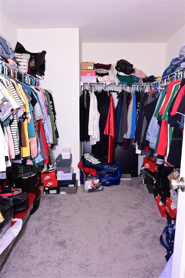 673 Sarner Pass Way, Winter Haven, FL 33881 - walk in closet featuring carpet